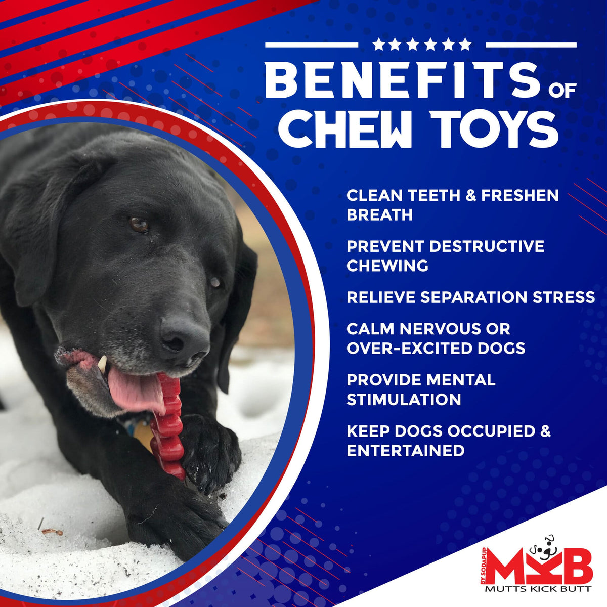 Christmas Tree Nylon Dog Chew & Enrichment Toy 🎄🐶