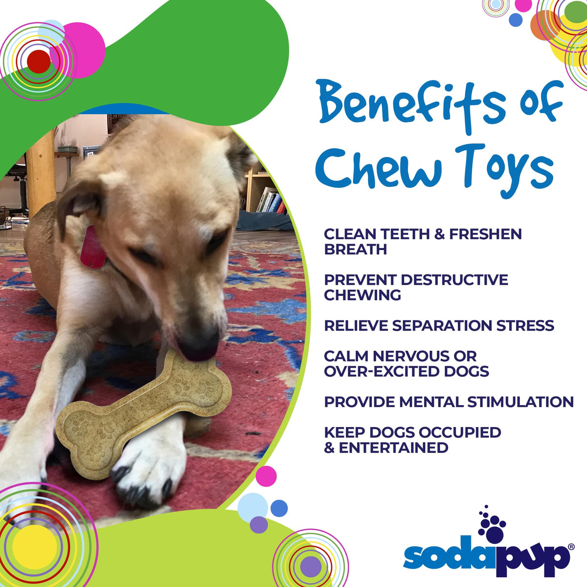 Bone eChew – Durable Nylon Dog Chew Toy 🦴🐶 USA Made