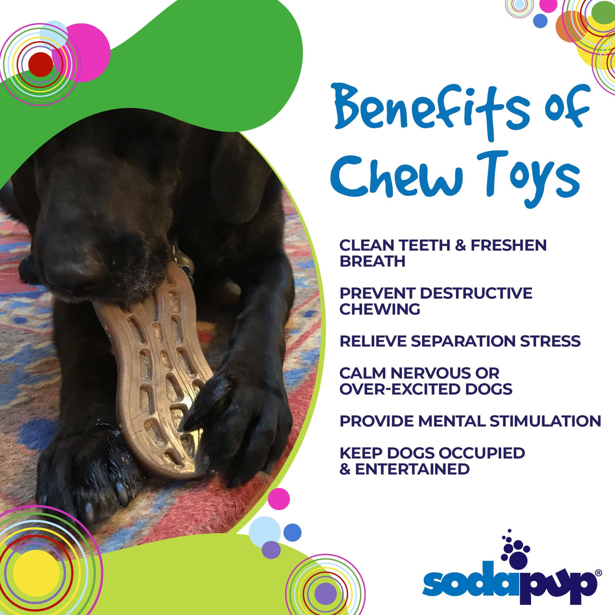Peanut Nylon Dog Chew Toy – Durable Enrichment for Serious Chewers 🥜🐶