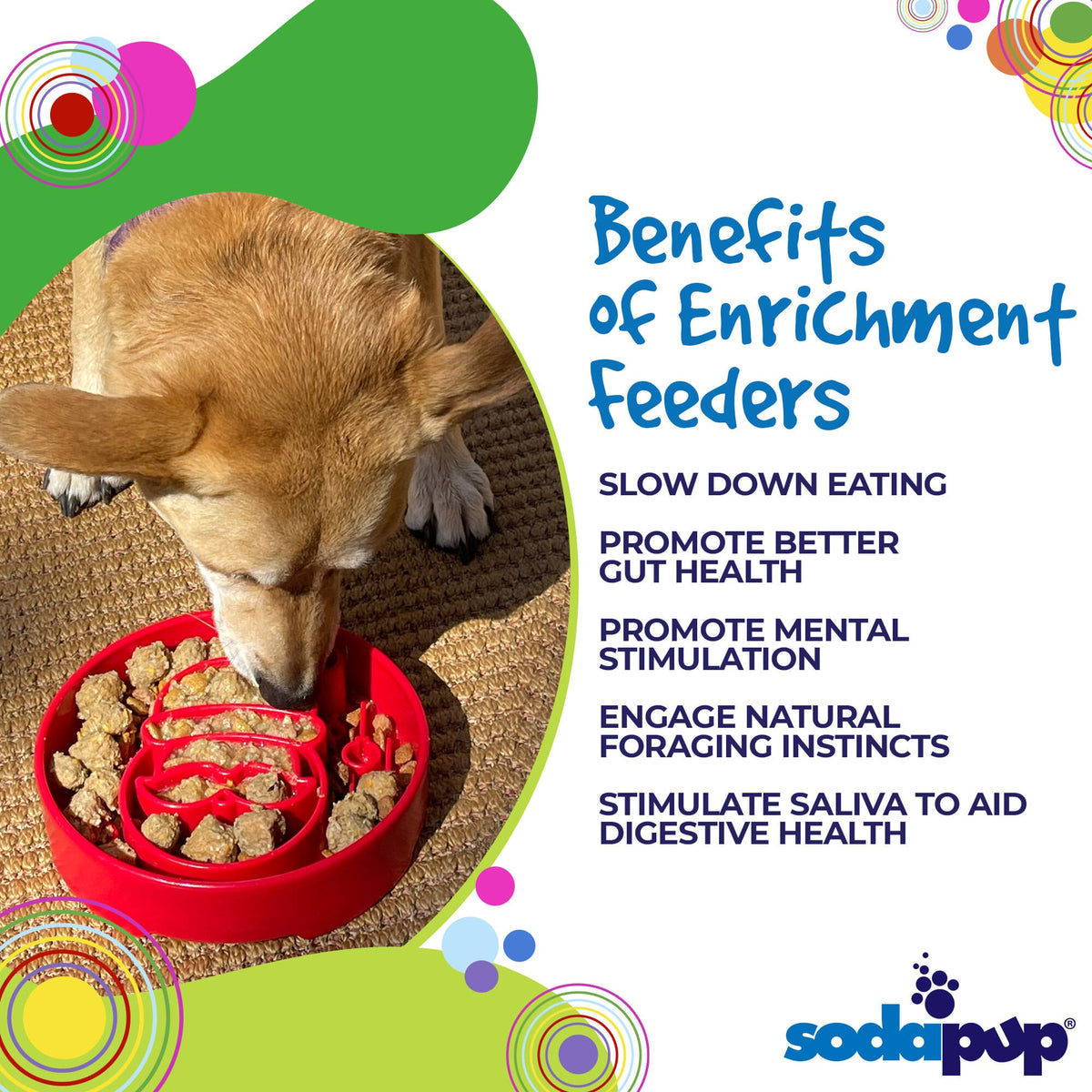 Santa Christmas eBowl – Deep Slow Feeder & Enrichment Bowl 🎅🐾