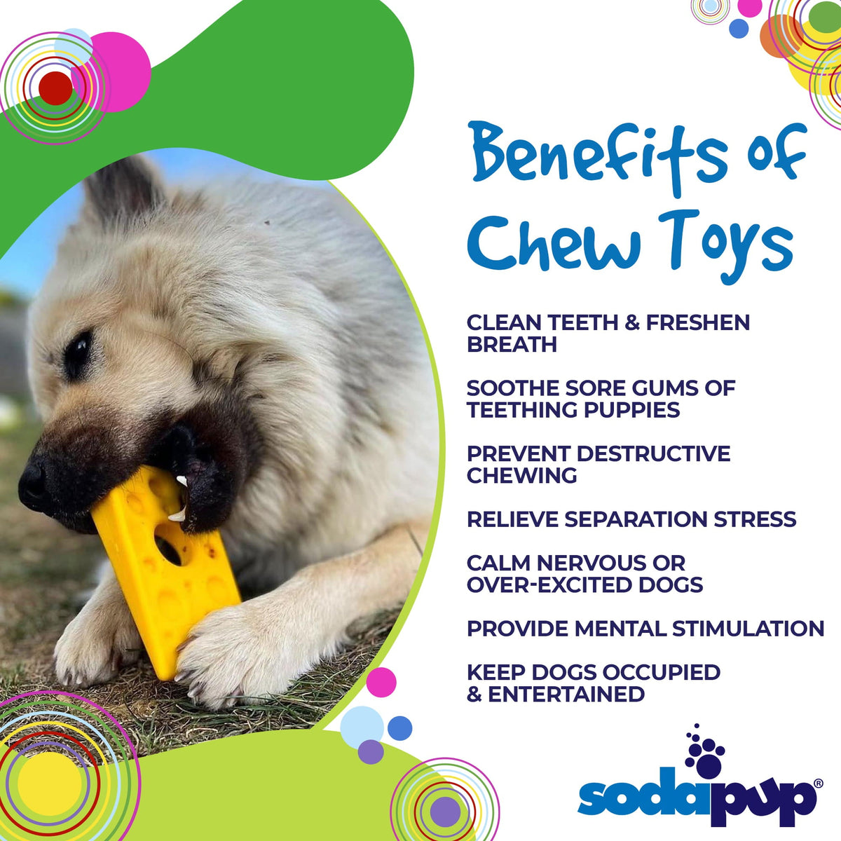 Swiss Cheese Wedge Nylon Dog Chew Toy 🧀🐶