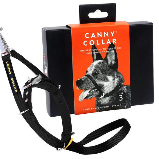 Canny long line trainer