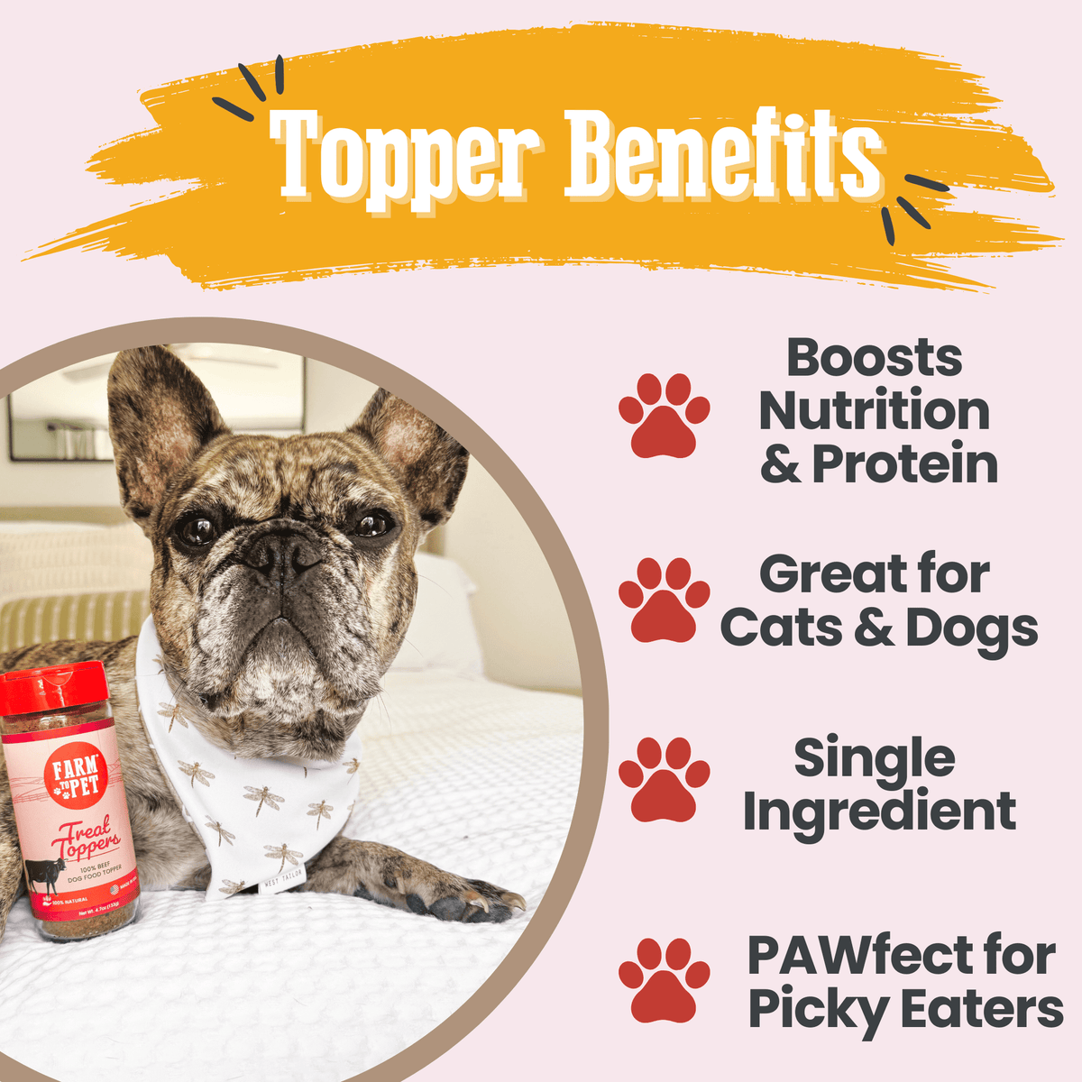 Beef Treat Topper – 100% Beef Meal Topper for Dogs & Cats