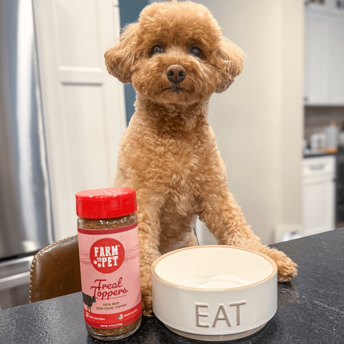 Beef Treat Topper – 100% Beef Meal Topper for Dogs & Cats