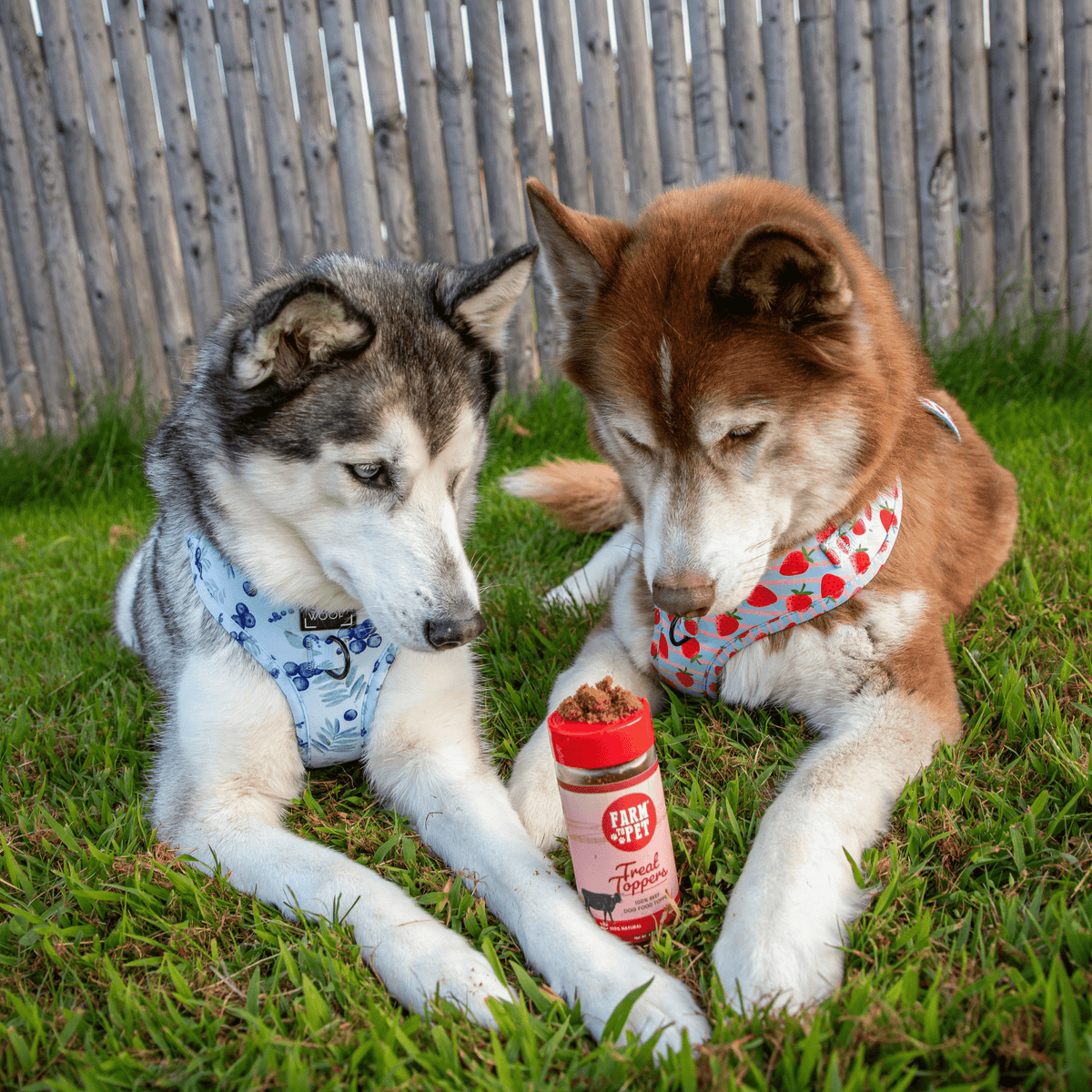 Beef Treat Topper – 100% Beef Meal Topper for Dogs & Cats