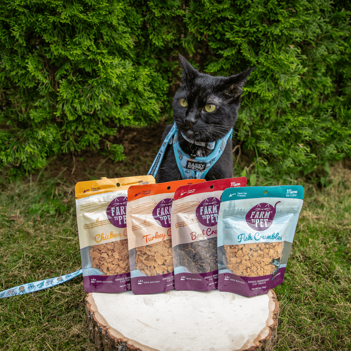 Fish Crumbles – All-Natural Fish Treats for Cats 🐱🐟