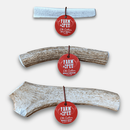 Elk Antler Dog Chews – All-Natural Whole and Split Elk Antler Chews for Dogs