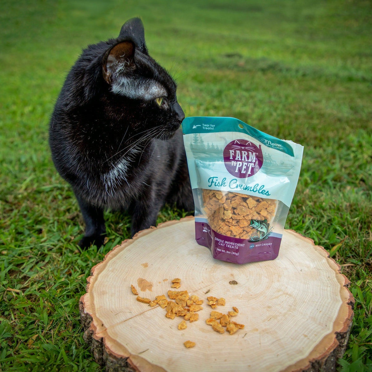 Fish Crumbles – All-Natural Fish Treats for Cats 🐱🐟