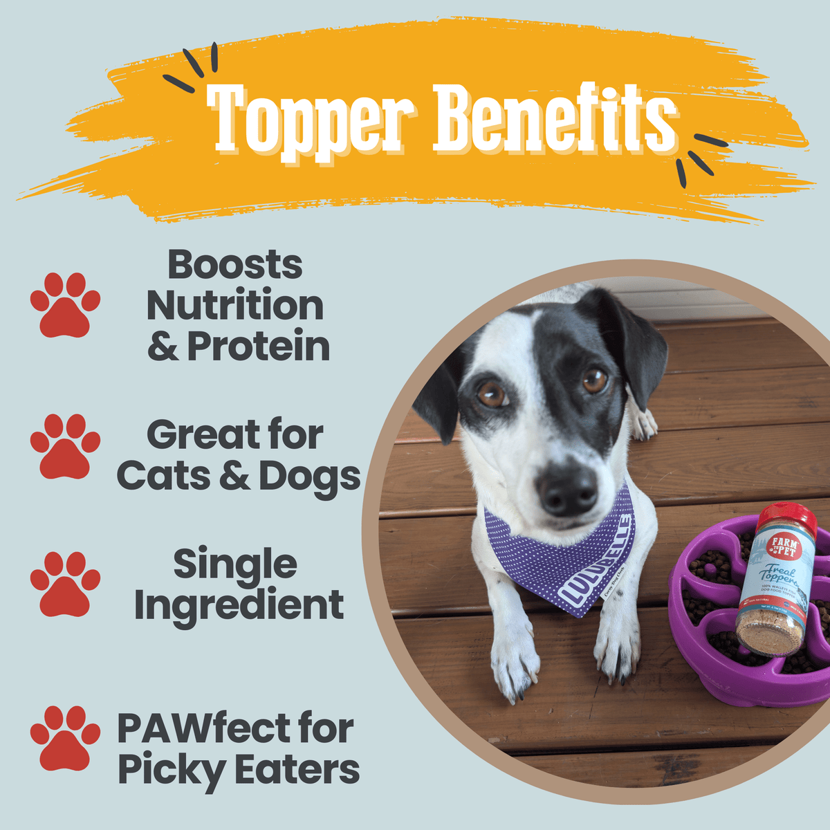 Fish Treat Topper – Low-Fat Meal Topper for Dogs & Cats