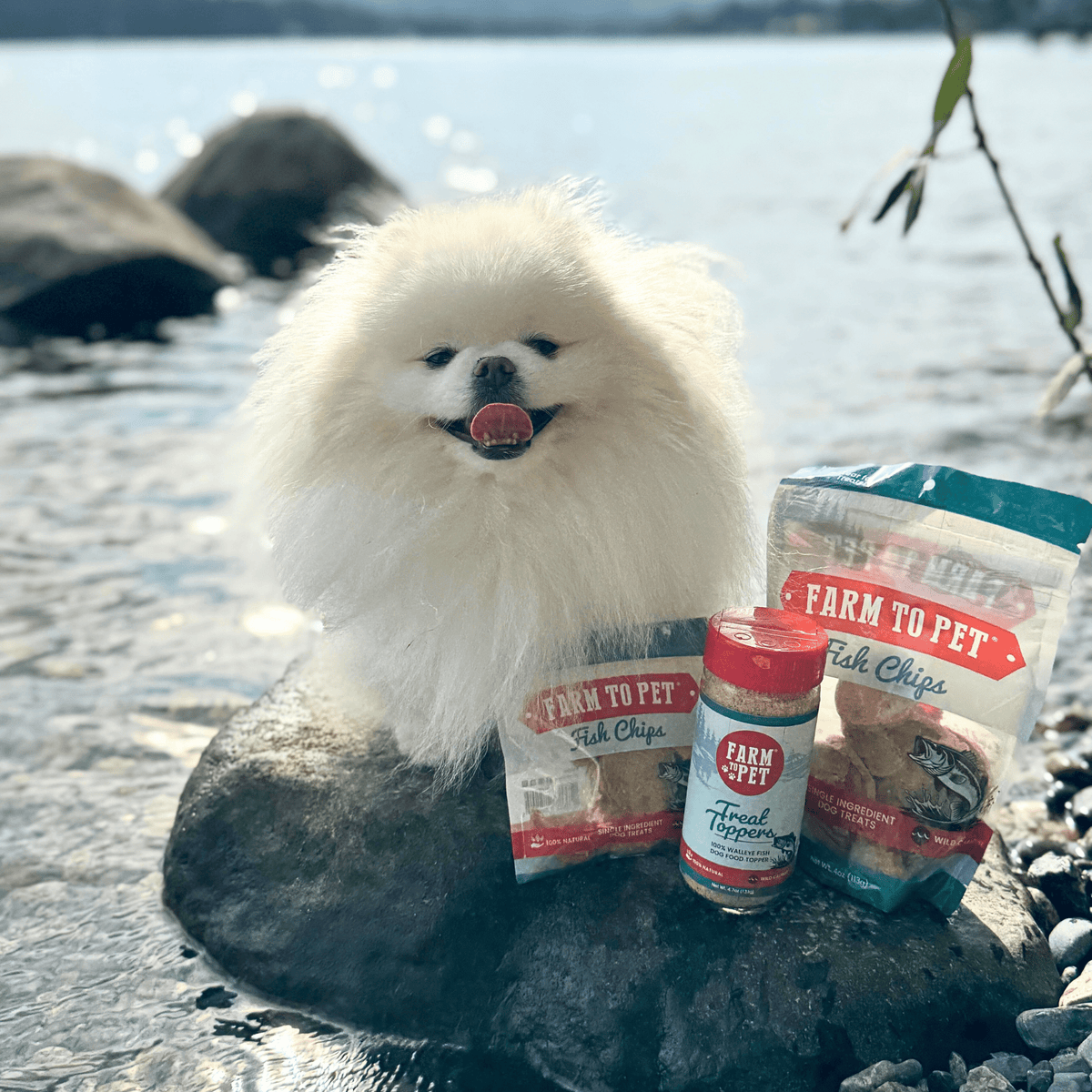 Fish Treat Topper – Low-Fat Meal Topper for Dogs & Cats
