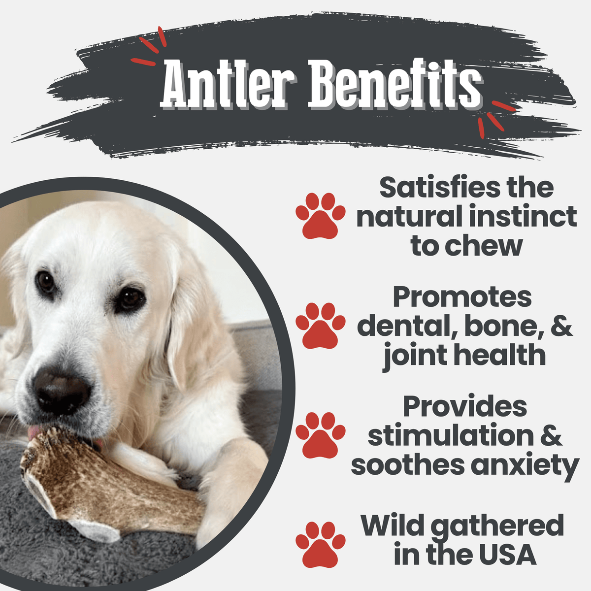 Elk Antler Dog Chews – All-Natural Whole and Split Elk Antler Chews for Dogs