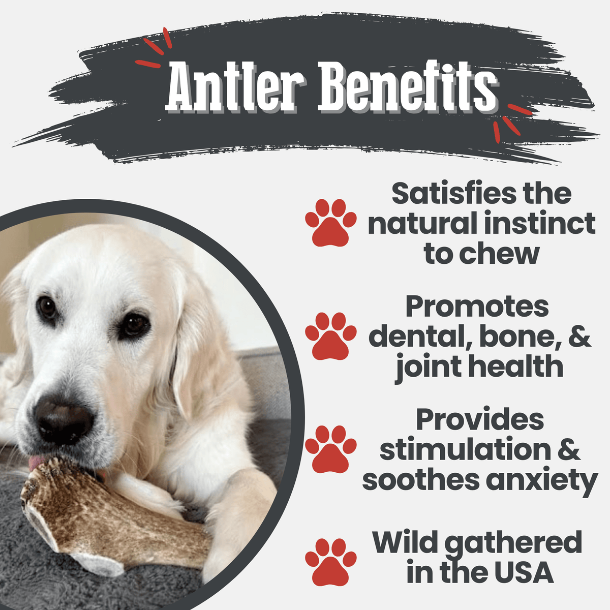 Elk Antler Dog Chews – All-Natural Whole and Split Elk Antler Chews for Dogs