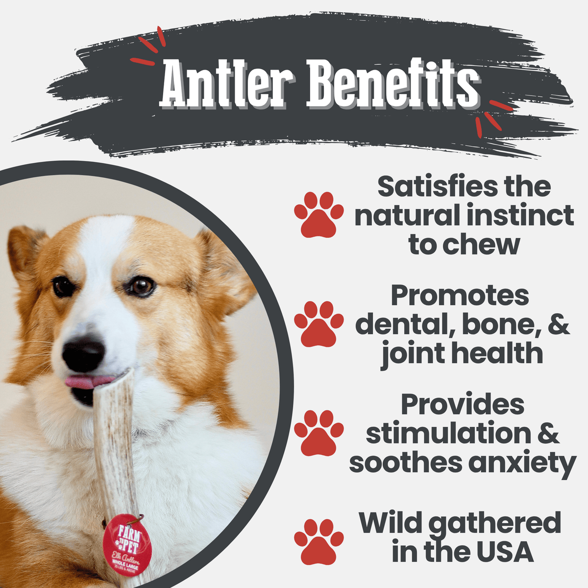 Elk Antler Dog Chews – All-Natural Whole and Split Elk Antler Chews for Dogs