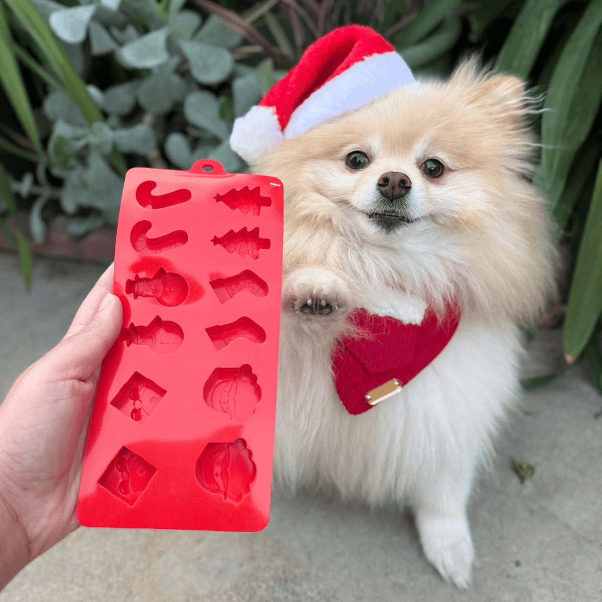 Pet Treat Molds – Silicone DIY Dog Treat & Enrichment Molds