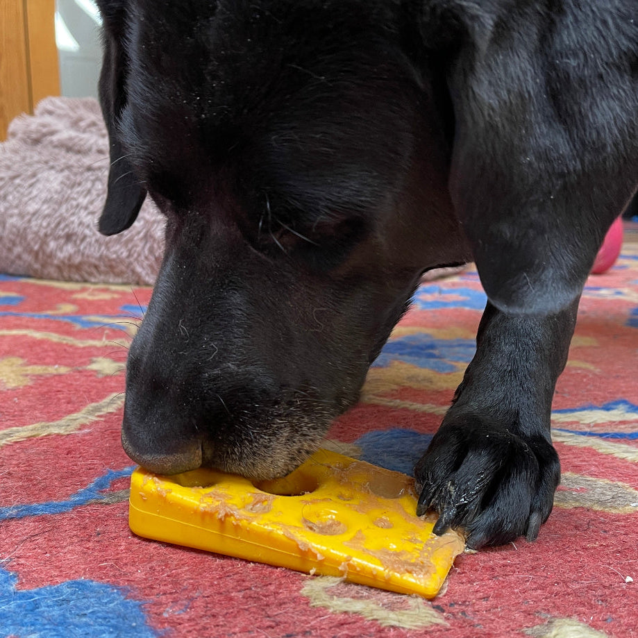 Swiss Cheese Wedge Nylon Dog Chew Toy 🧀🐶