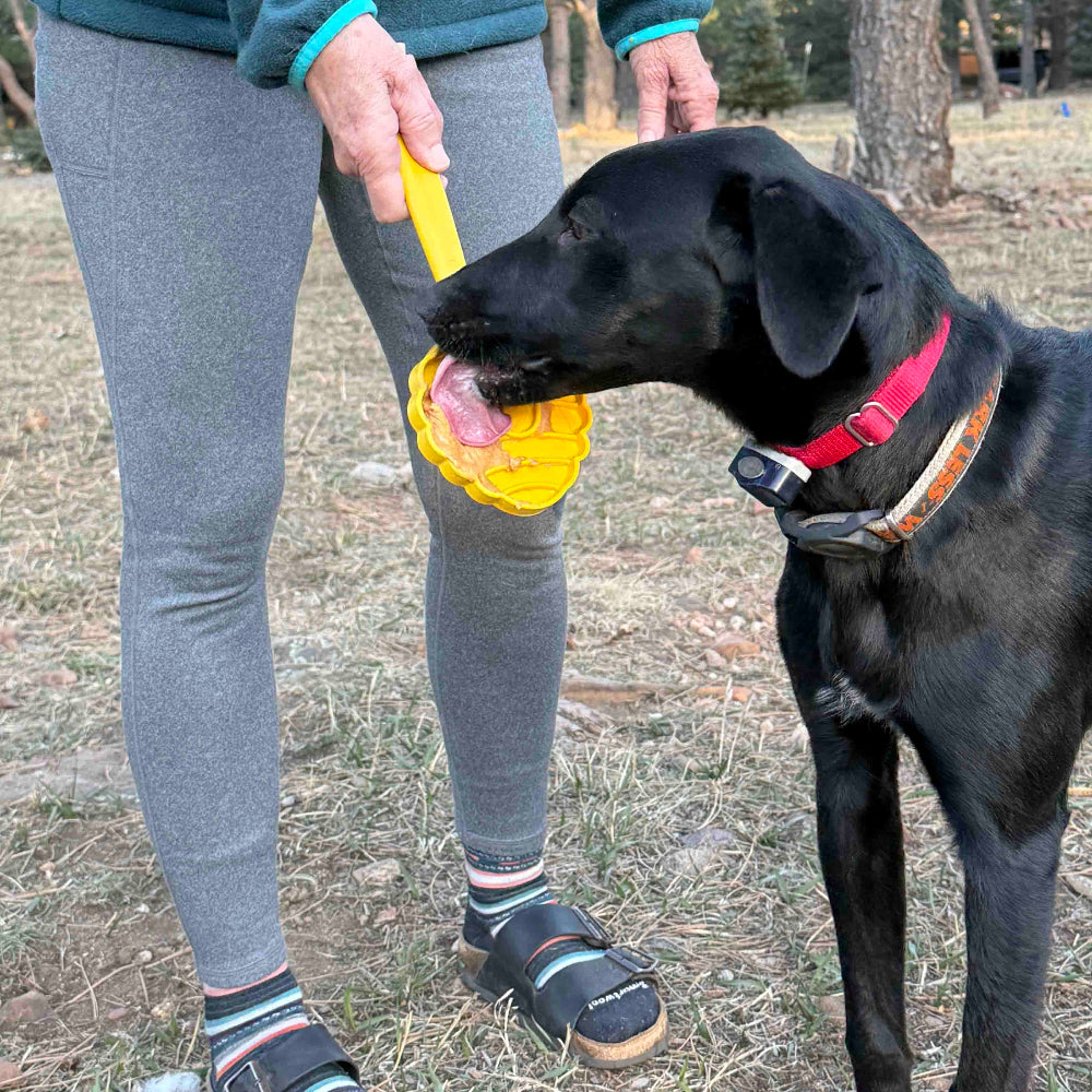 eStick Interactive Lick Stick – Dog Enrichment & Training Toy 🐶