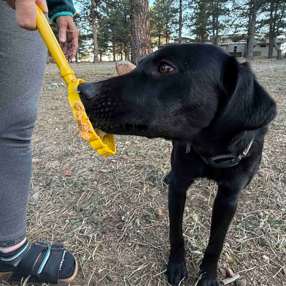 eStick Interactive Lick Stick – Dog Enrichment & Training Toy 🐶