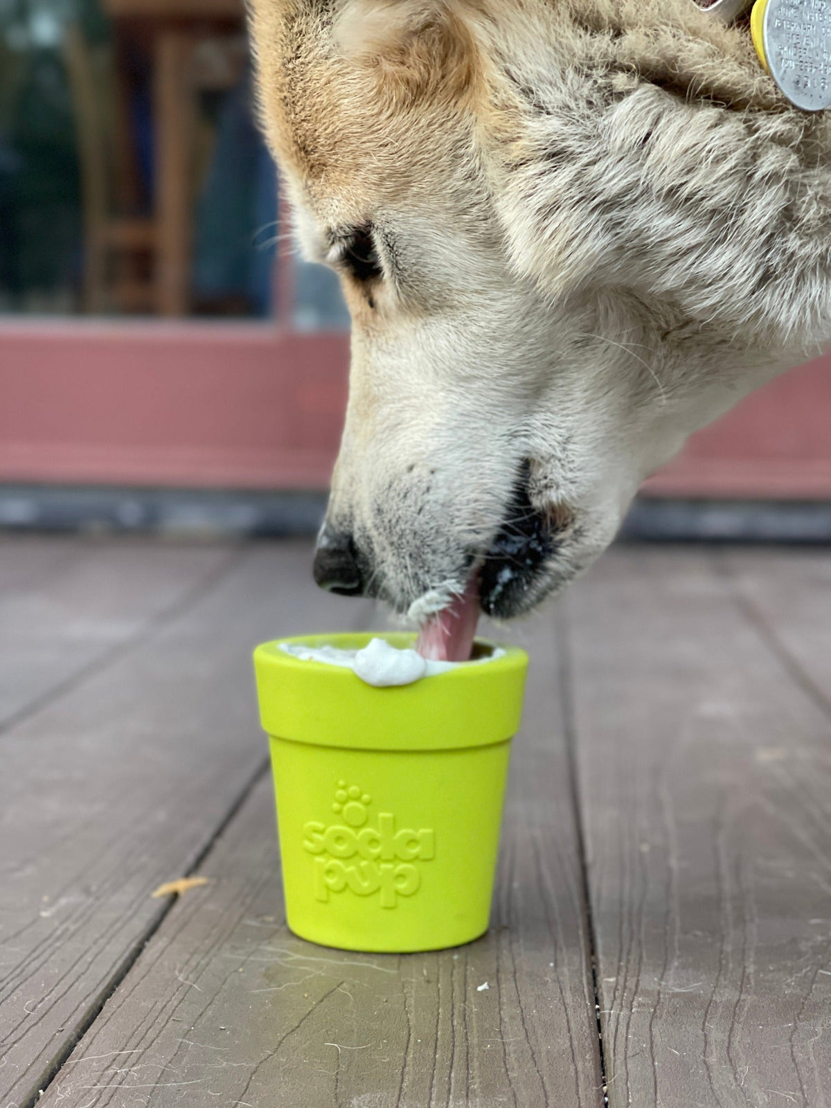 Large Flower Pot eCup – Dog Treat Dispenser & Enrichment Toy 🌸🐾