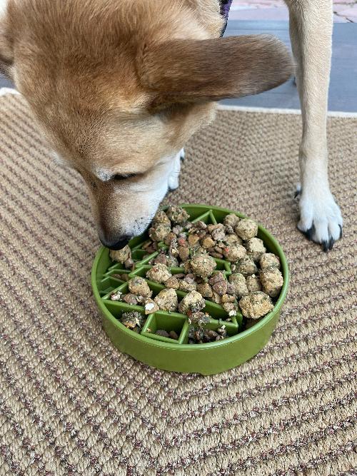 Pine Tree Christmas eBowl – Deep Slow Feeder & Enrichment Bowl 🎄🐾 USA Made