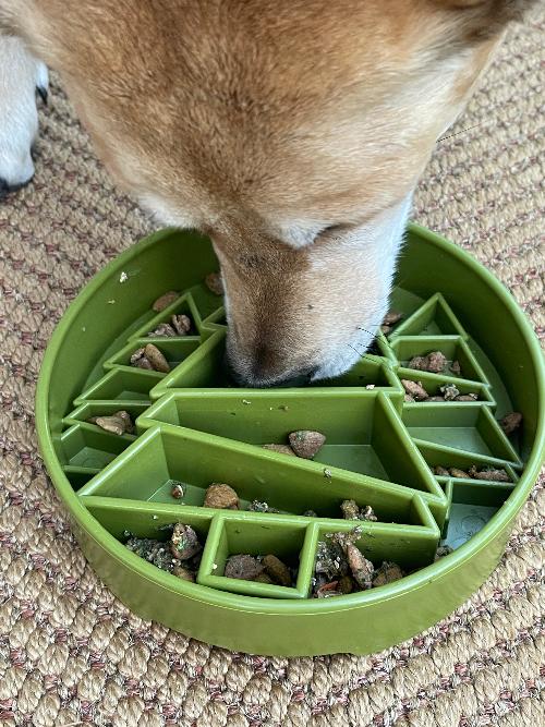 Pine Tree Christmas eBowl – Deep Slow Feeder & Enrichment Bowl 🎄🐾 USA Made