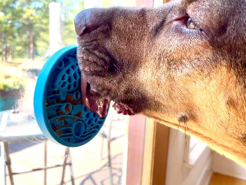Turtle eMat-Mini – Suction Cup Lick Mat for Small Dogs & Cats 🐢🐾
