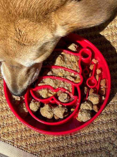 Santa Christmas eBowl – Deep Slow Feeder & Enrichment Bowl 🎅🐾