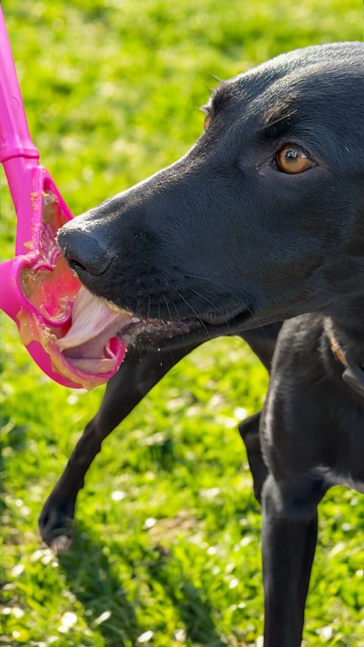 eStick Interactive Lick Stick – Dog Enrichment & Training Toy 🐶