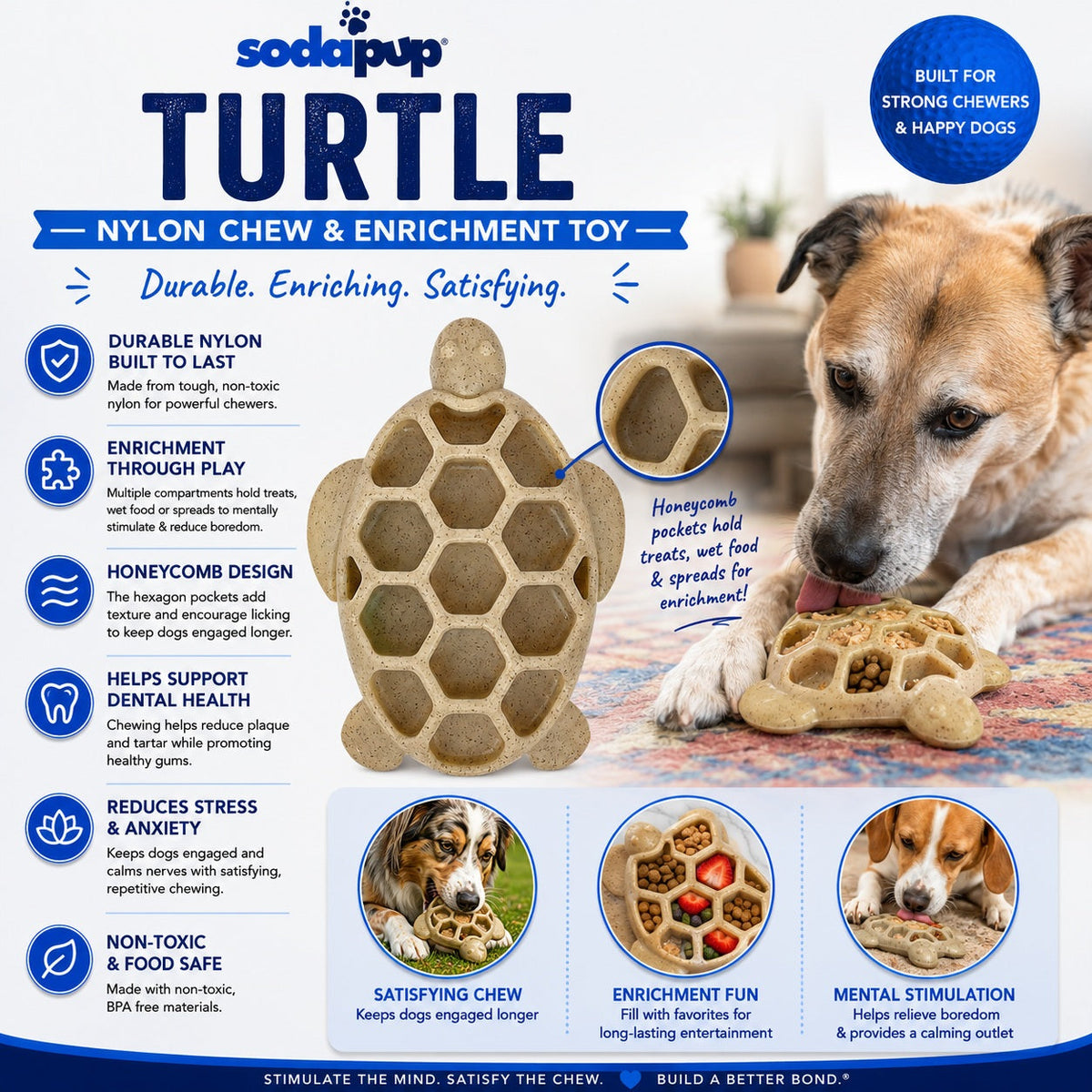 Turtle eChew — Ultra-Durable Nylon Chew and Enrichment Toy for Dogs