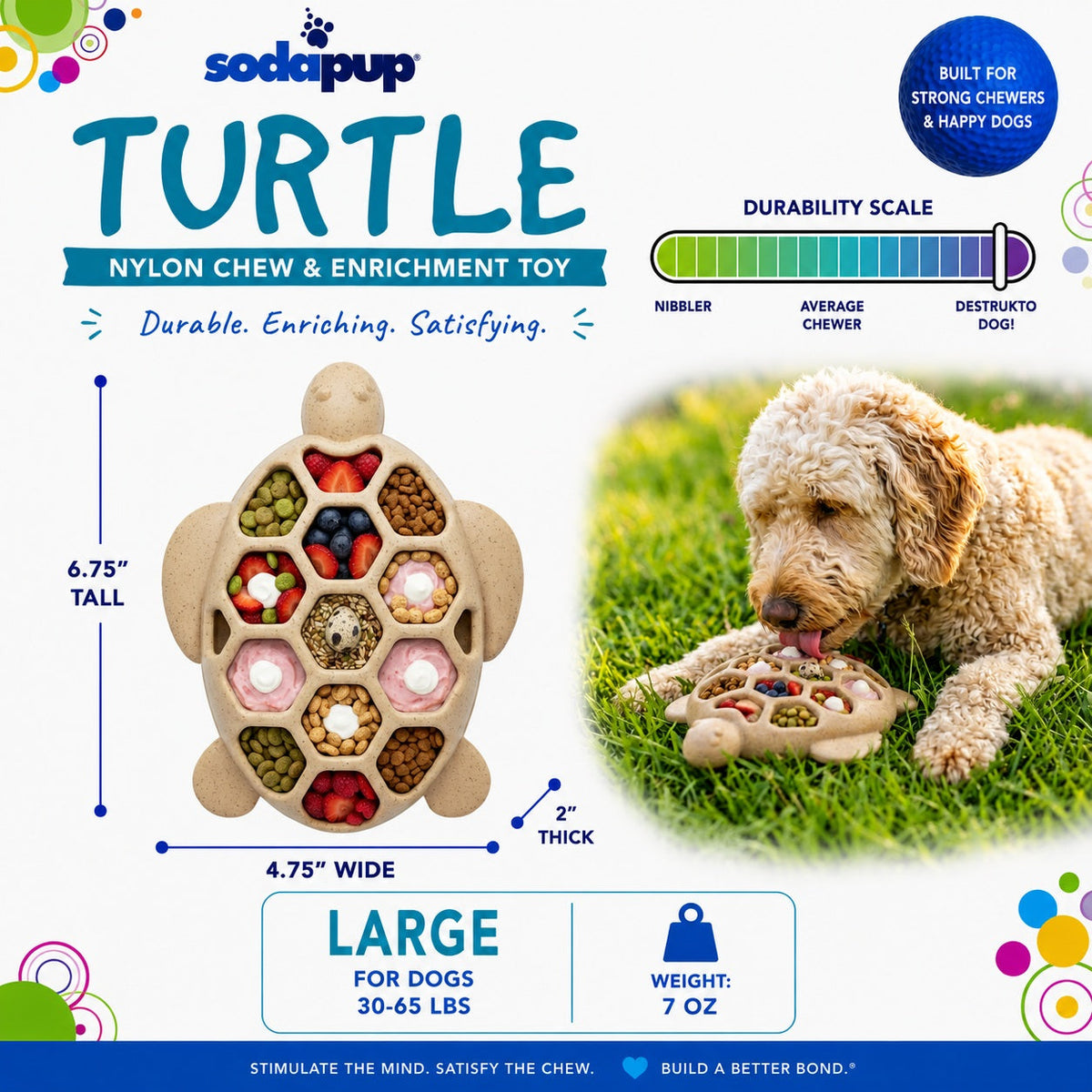 Turtle eChew — Ultra-Durable Nylon Chew and Enrichment Toy for Dogs