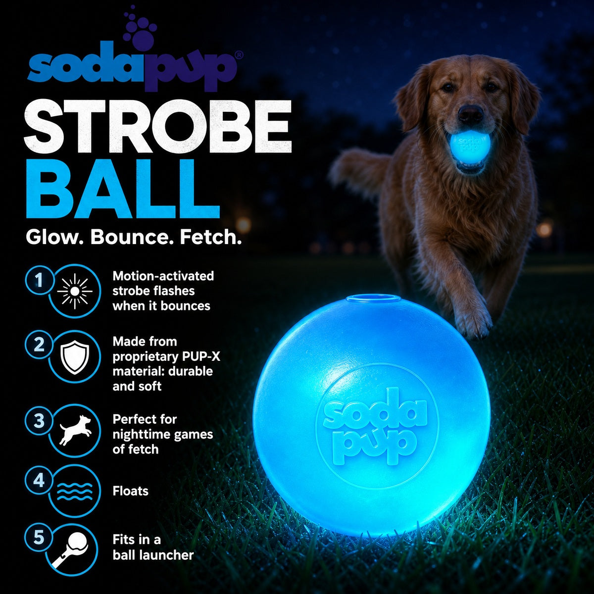 Strobe Ball – Light-Up Floating Dog Toy 🐶💡