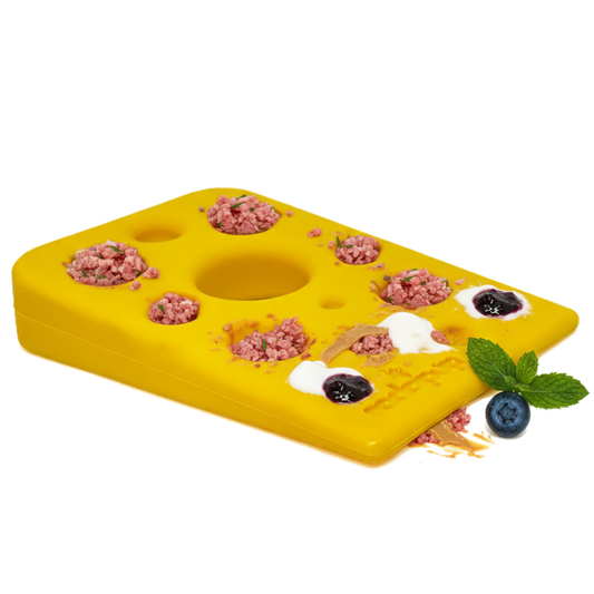 Swiss Cheese Wedge Nylon Dog Chew Toy 🧀🐶