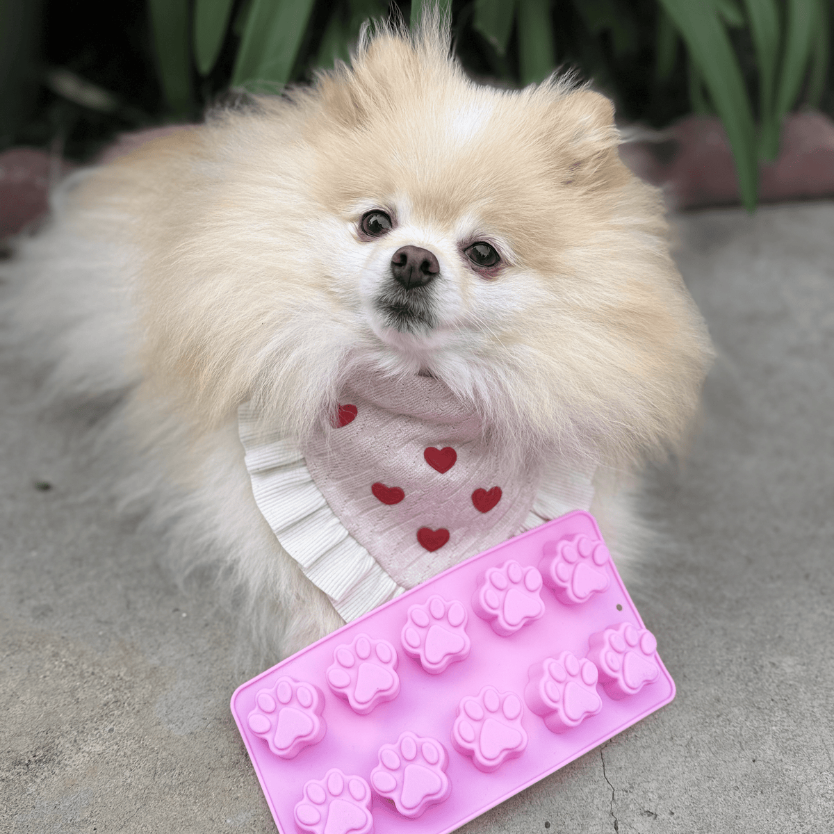 Pet Treat Molds – Silicone DIY Dog Treat & Enrichment Molds