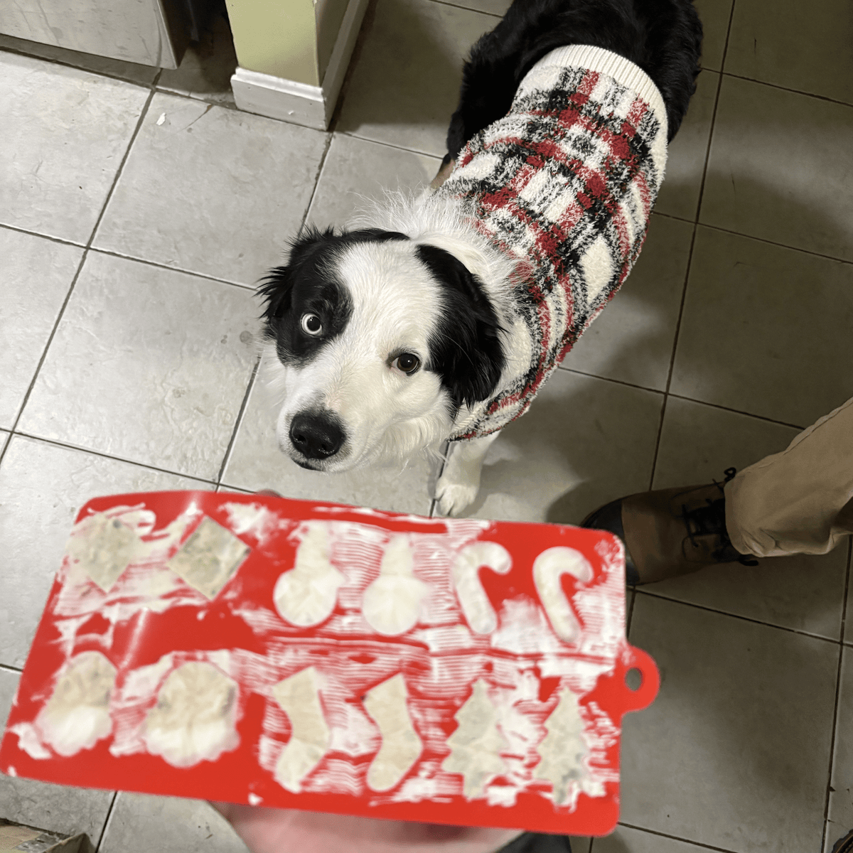 Pet Treat Molds – Silicone DIY Dog Treat & Enrichment Molds