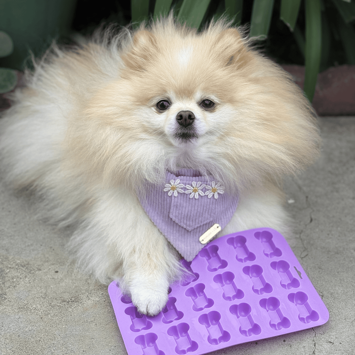 Pet Treat Molds – Silicone DIY Dog Treat & Enrichment Molds
