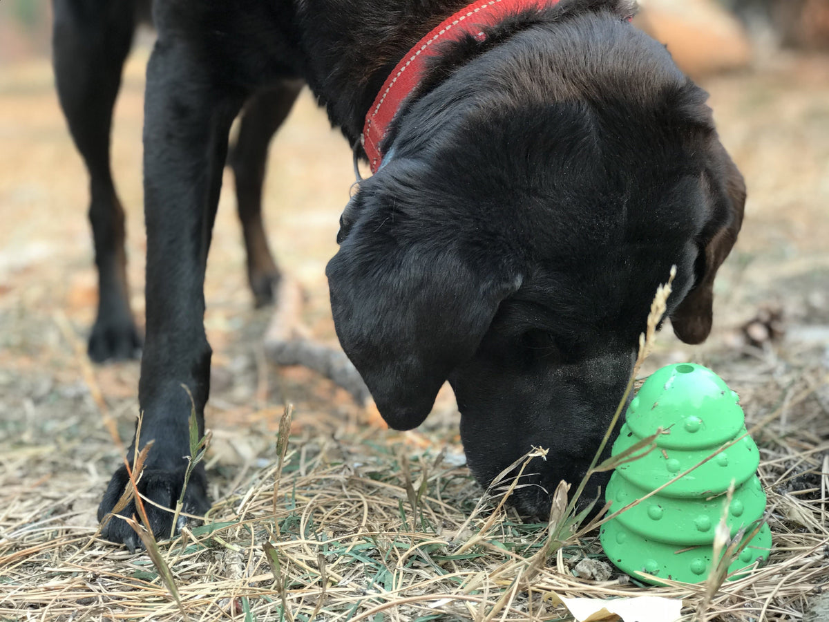 Christmas Tree eDispenser – Rubber Chew & Treat Toy 🎄🐾