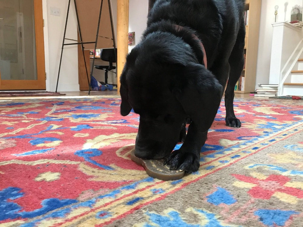 Peanut Nylon Dog Chew Toy – Durable Enrichment for Serious Chewers 🥜🐶