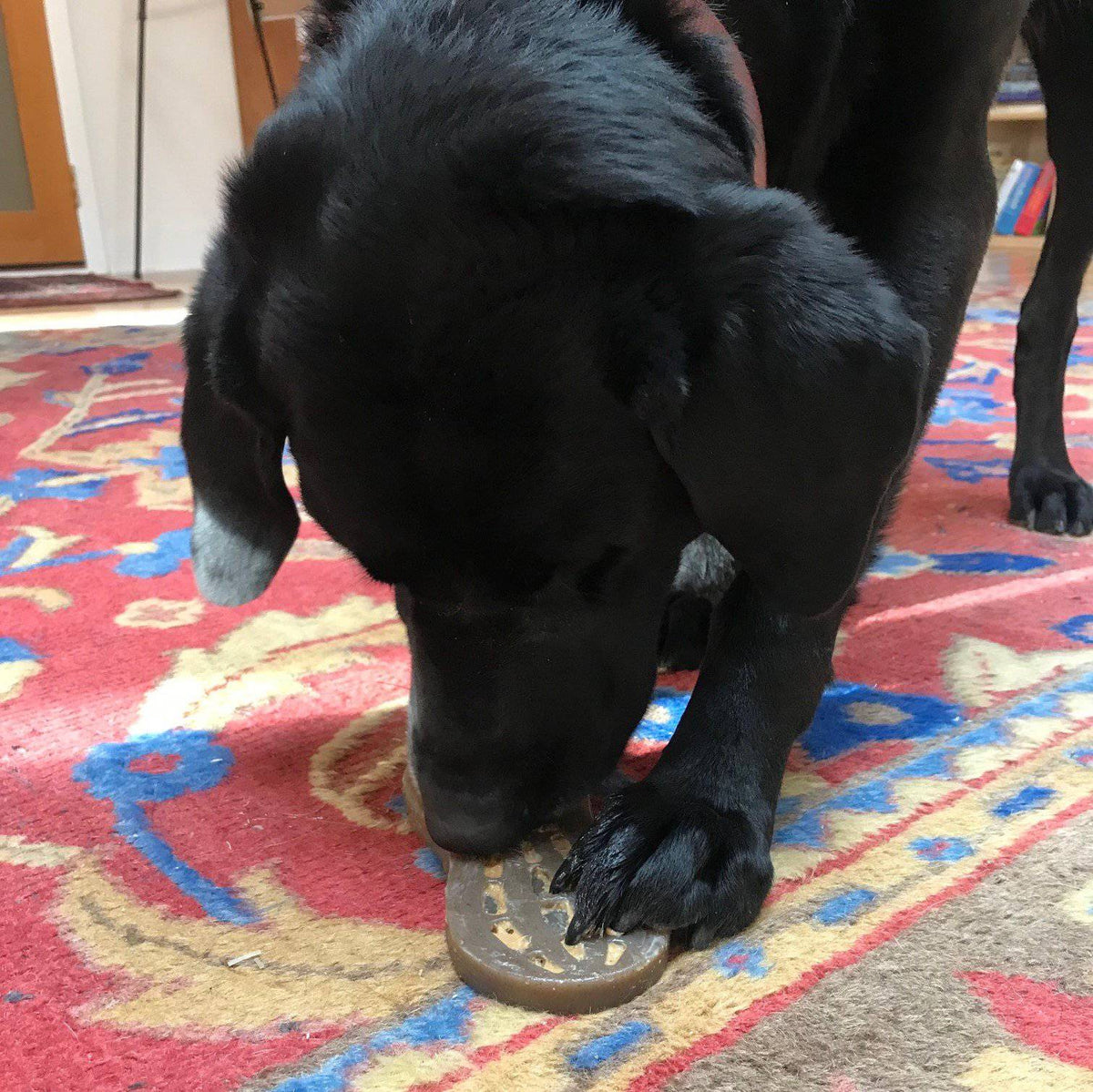 Peanut Nylon Dog Chew Toy – Durable Enrichment for Serious Chewers 🥜🐶