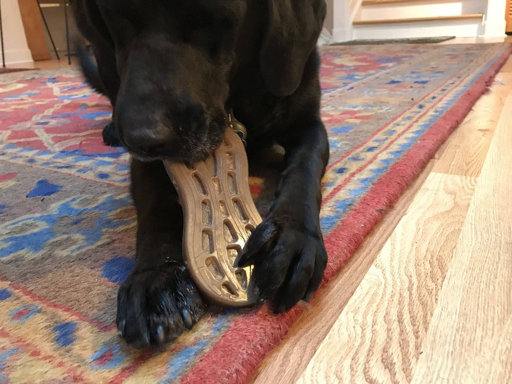 Peanut Nylon Dog Chew Toy – Durable Enrichment for Serious Chewers 🥜🐶