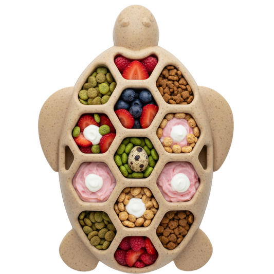 Turtle eChew — Ultra-Durable Nylon Chew and Enrichment Toy for Dogs
